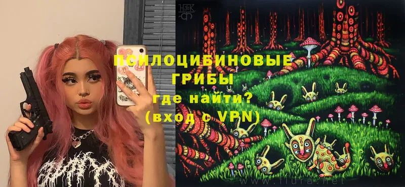 Псилоцибиновые грибы Psilocybe  Магадан 